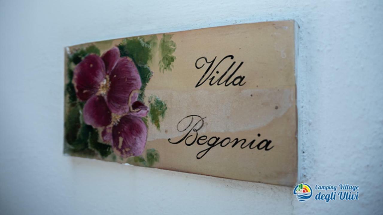 Camping Village Degli Ulivi Mattinata Εξωτερικό φωτογραφία