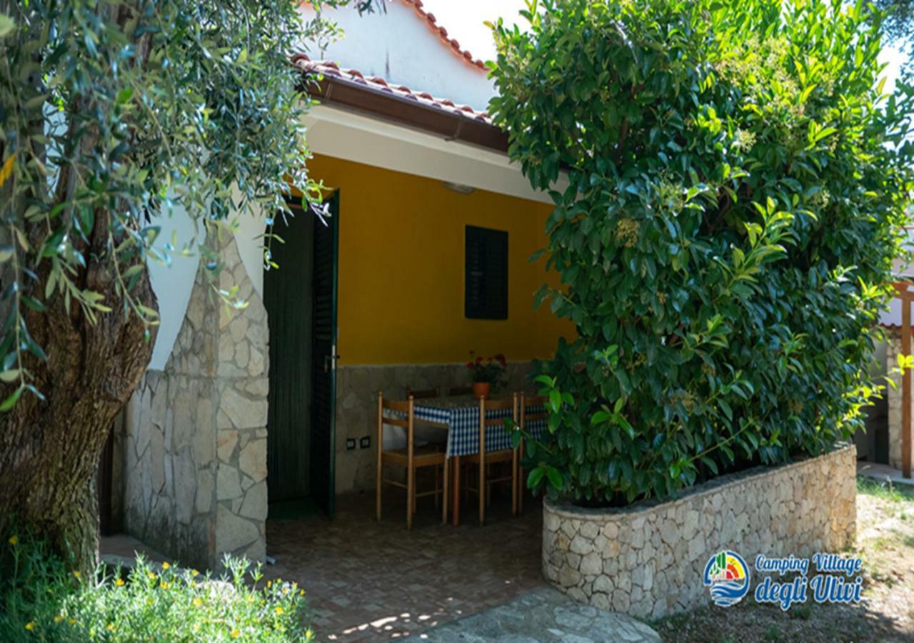 Camping Village Degli Ulivi Mattinata Εξωτερικό φωτογραφία