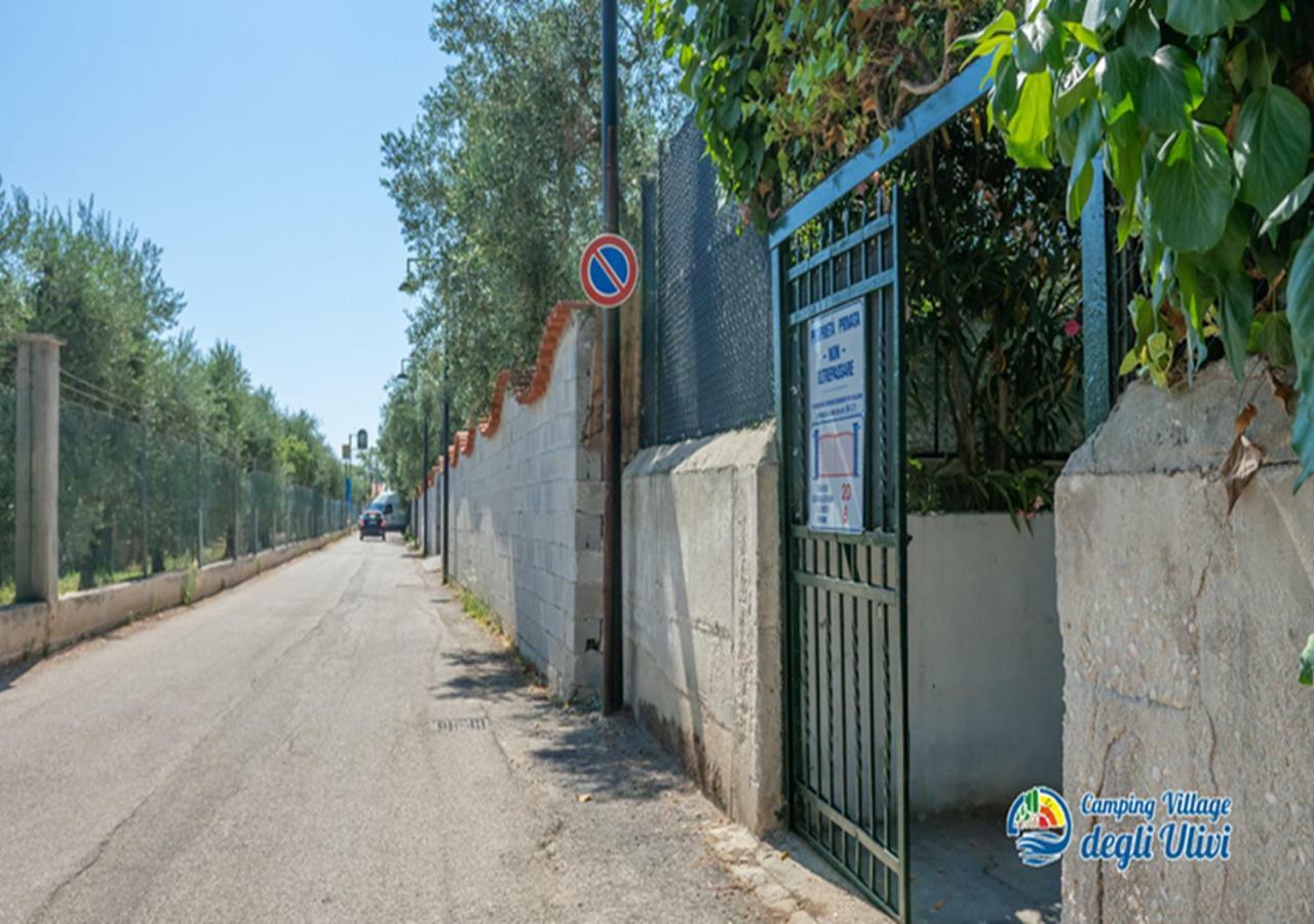 Camping Village Degli Ulivi Mattinata Εξωτερικό φωτογραφία