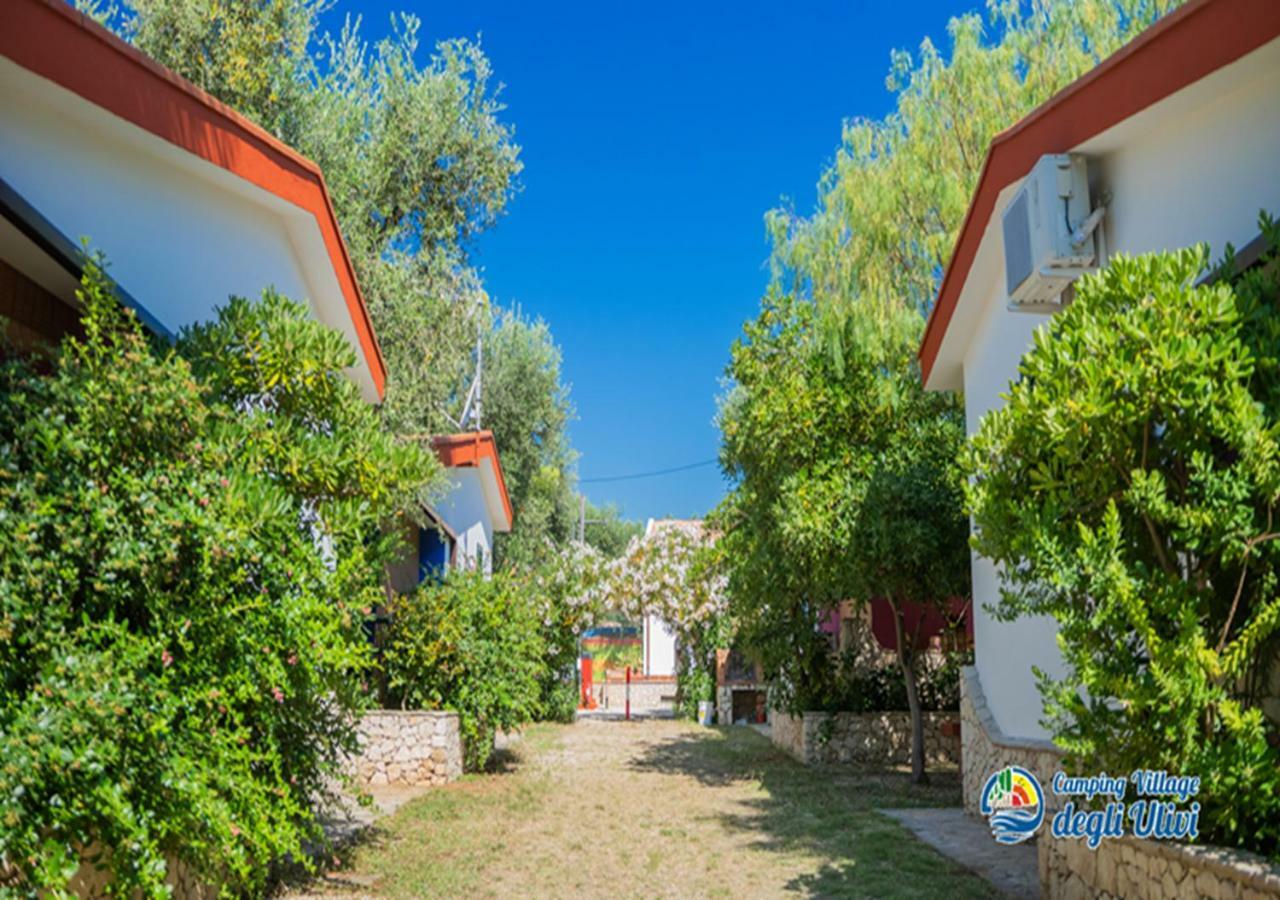 Camping Village Degli Ulivi Mattinata Εξωτερικό φωτογραφία