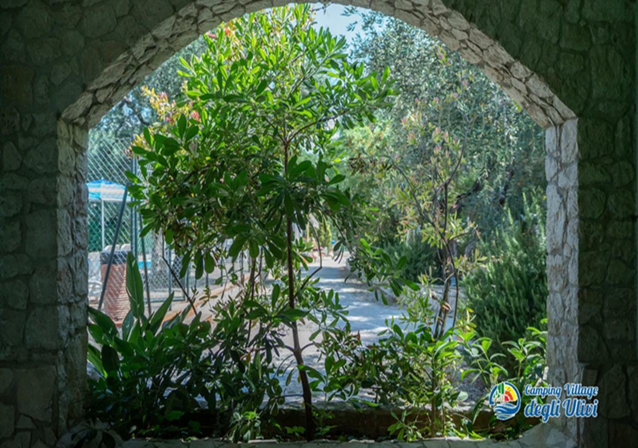 Camping Village Degli Ulivi Mattinata Εξωτερικό φωτογραφία