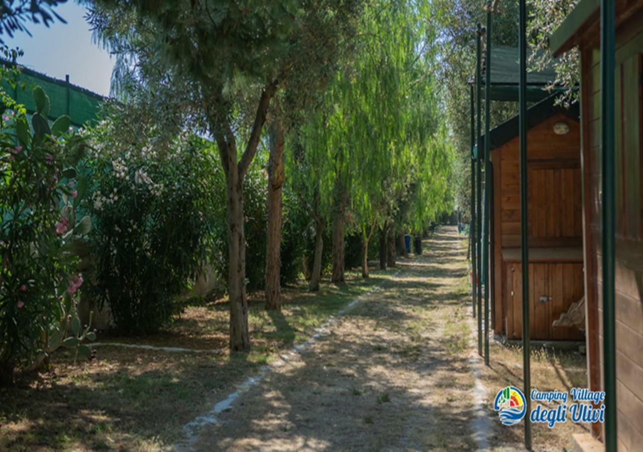 Camping Village Degli Ulivi Mattinata Εξωτερικό φωτογραφία