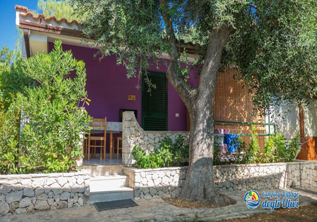 Camping Village Degli Ulivi Mattinata Εξωτερικό φωτογραφία