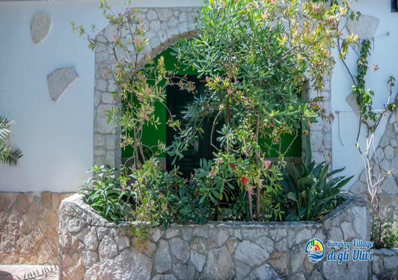 Camping Village Degli Ulivi Mattinata Εξωτερικό φωτογραφία