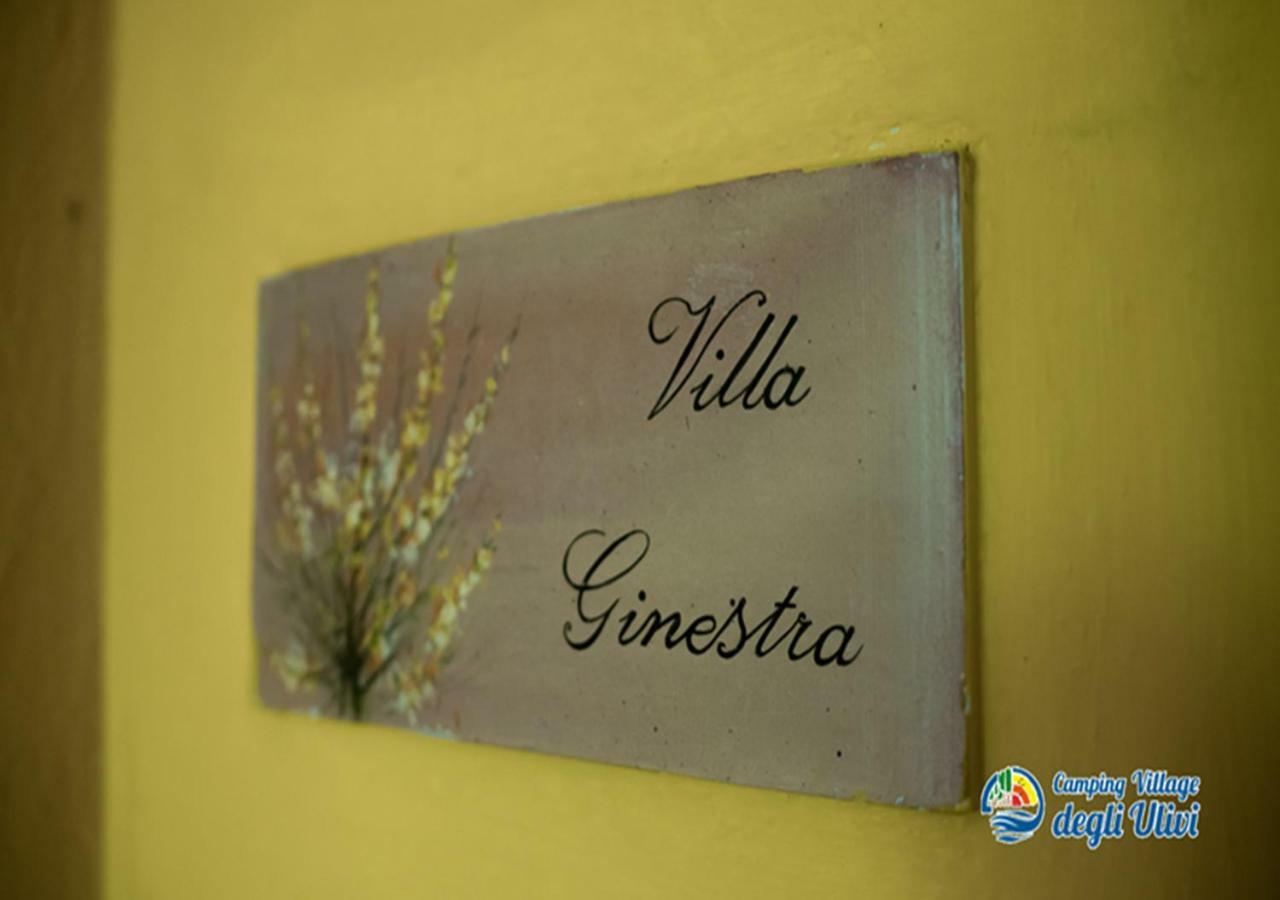 Camping Village Degli Ulivi Mattinata Εξωτερικό φωτογραφία